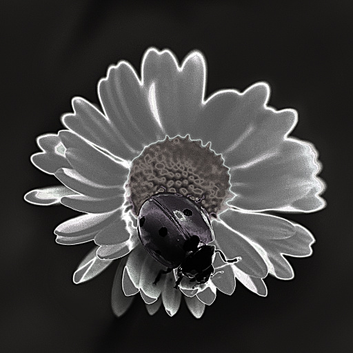 Variation 3
