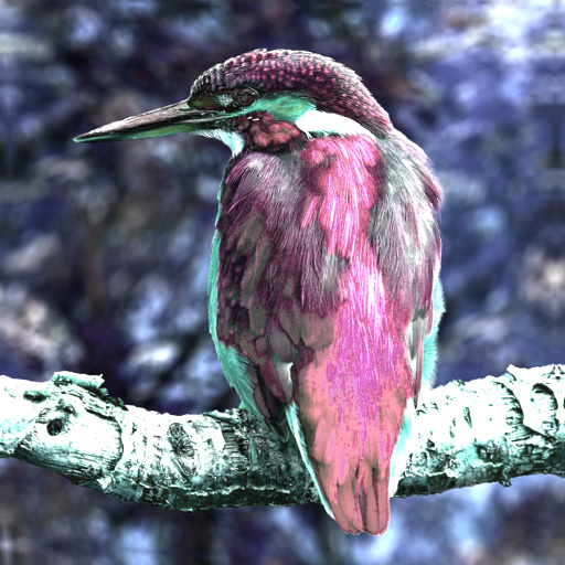 Variation 8