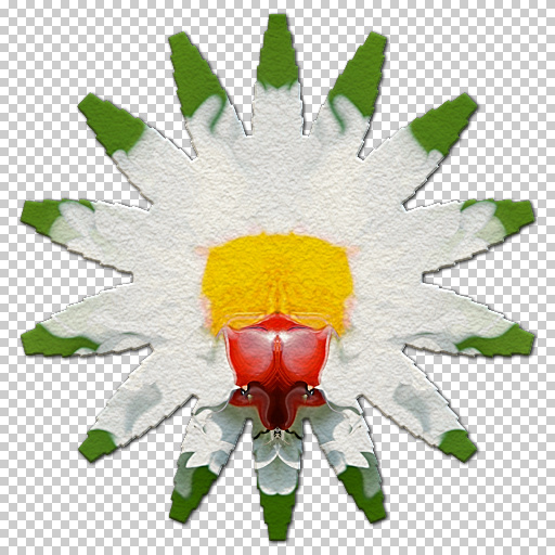 Variation 8