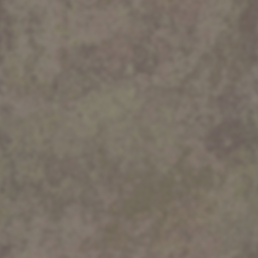 Diffuse Map