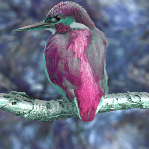 Variation 5