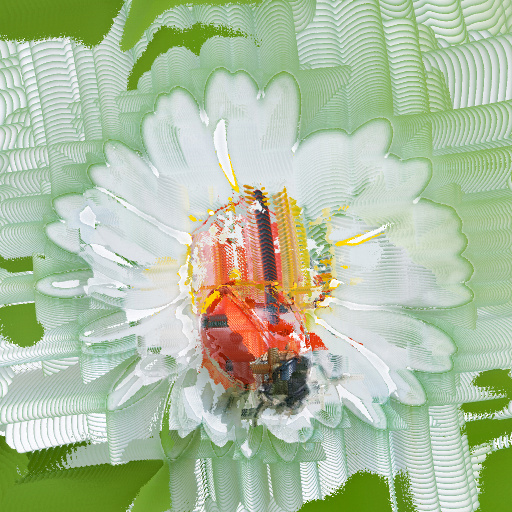Variation 5