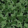 DigitalCamoPix
