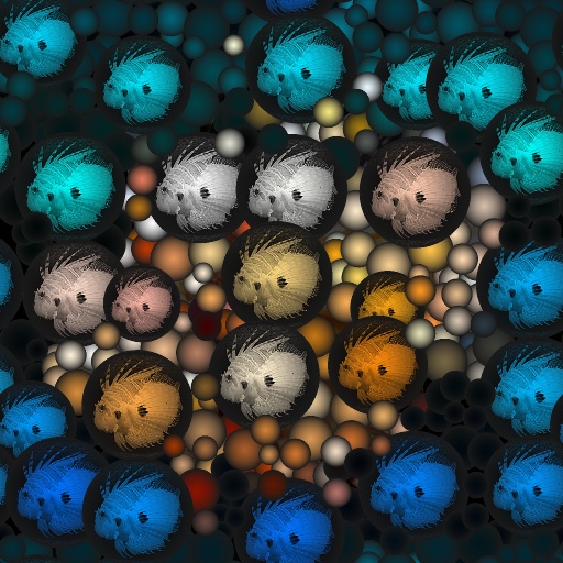 Variation 6