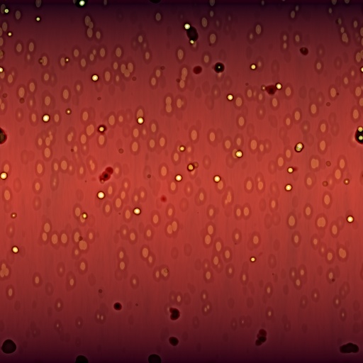 Variation 6