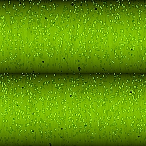 Variation 7