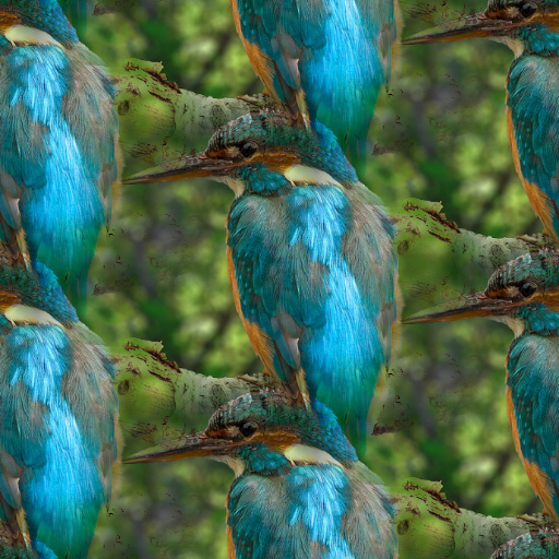Variation 6