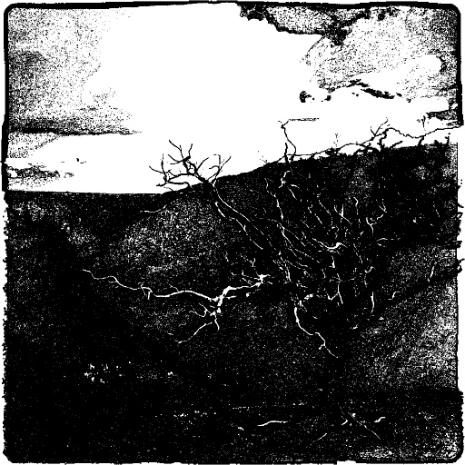Reflective Occlusion Map