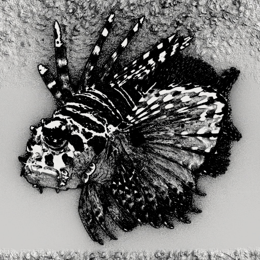 Variation 3