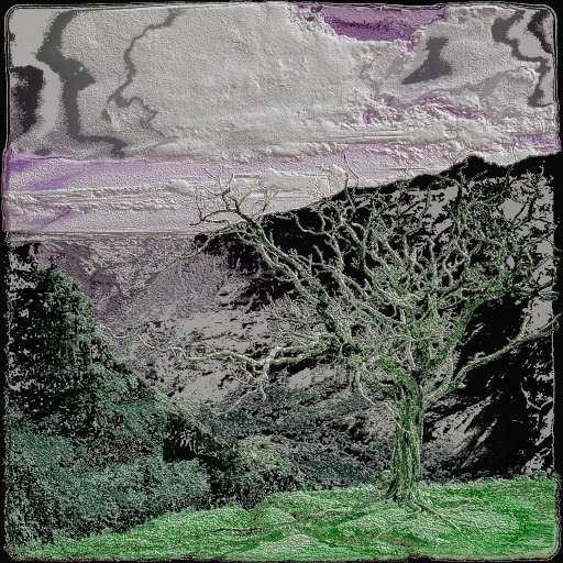 Variation 7