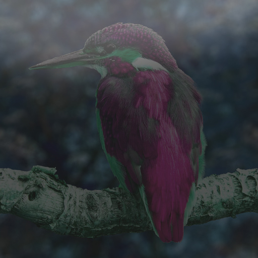 Variation 2