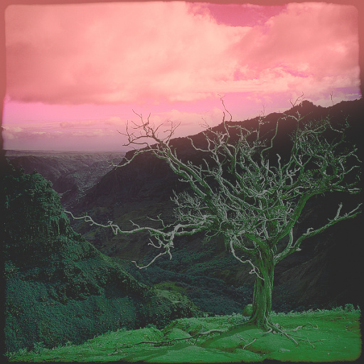Variation 7