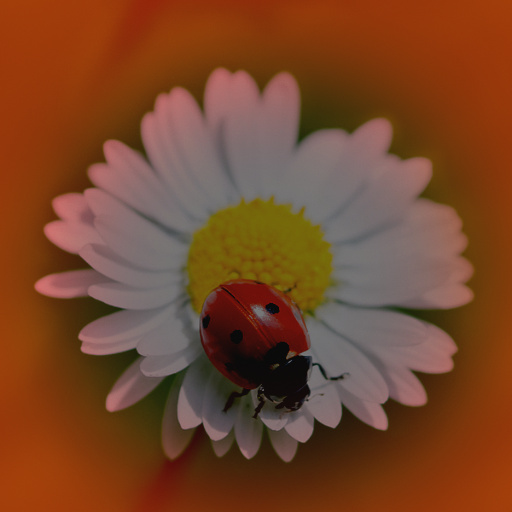 Variation 8