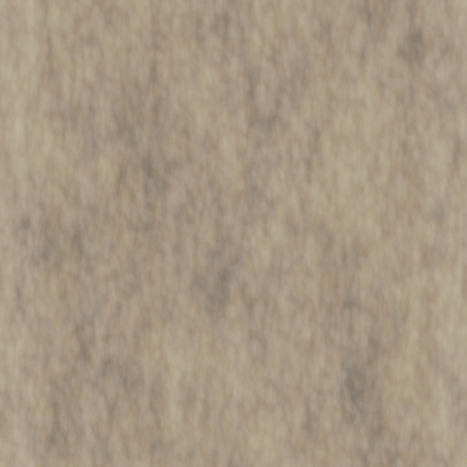 We Hold These Truths To Be Self Evident