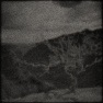 Photo Multi Texture Maker