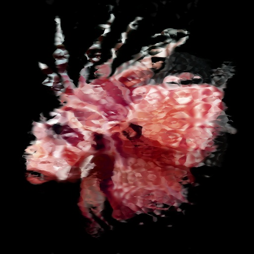 Variation 4