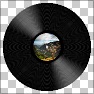 Realistic Vinyl