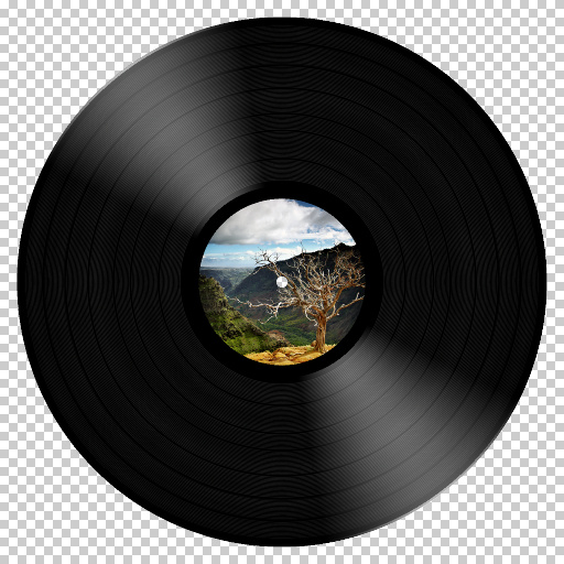 Realistic Vinyl
