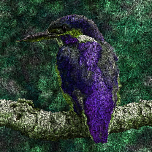 Variation 5