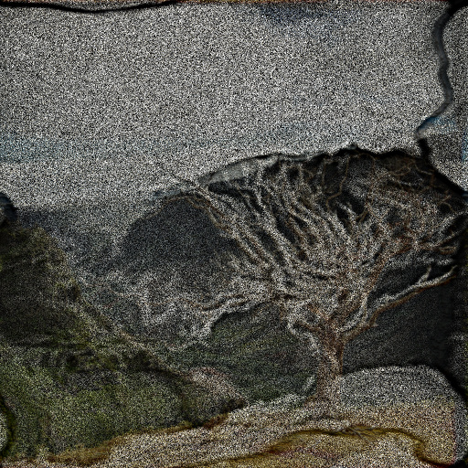 Variation 7