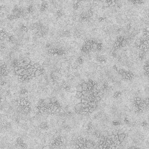 Ambient Occlusion Map