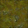 Dirt Grass Rock