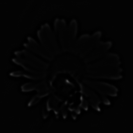 Bump Map