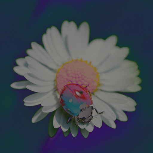 Variation 7