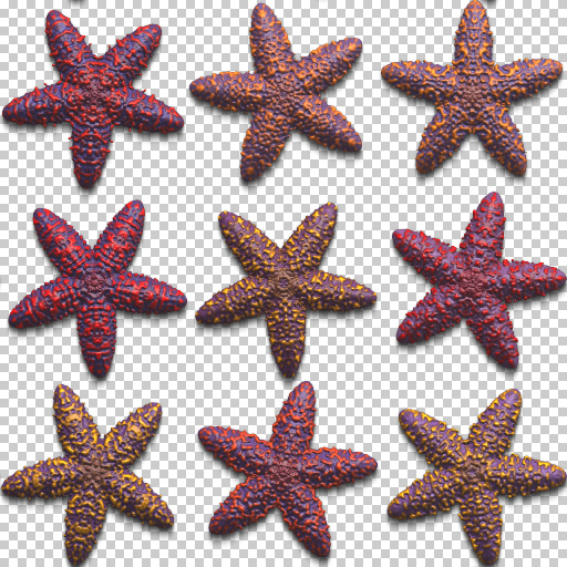 Starfish