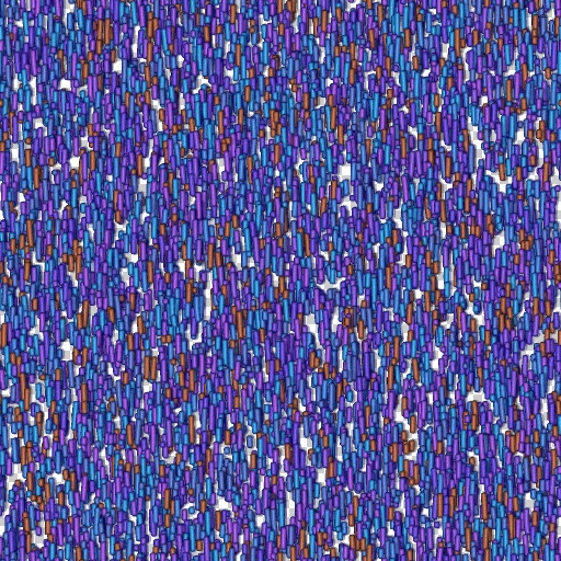 Variation 7