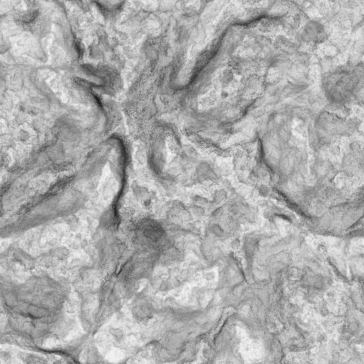 Ambient Occlusion Map