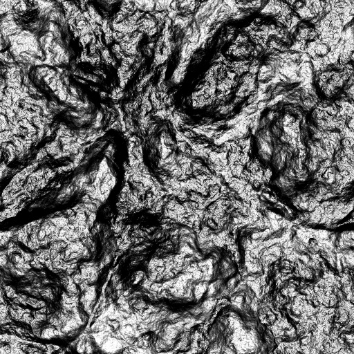 Reflective Occlusion Map