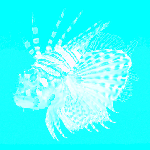 Variation 6