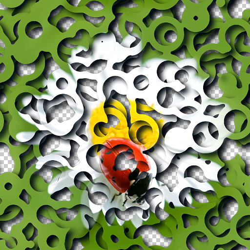 Variation 6