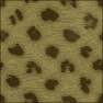 Spotted fur