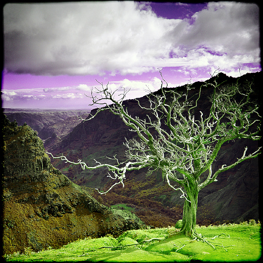 Variation 5