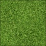 Chaotic Grass