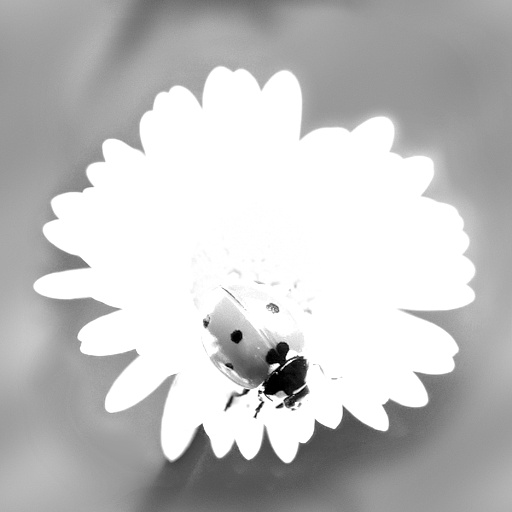 Variation 4