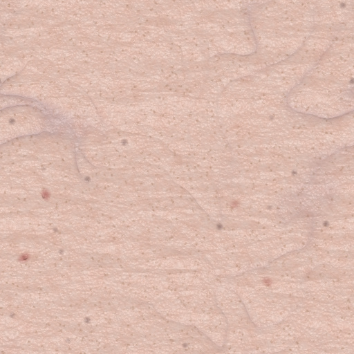 Skin (Texture)