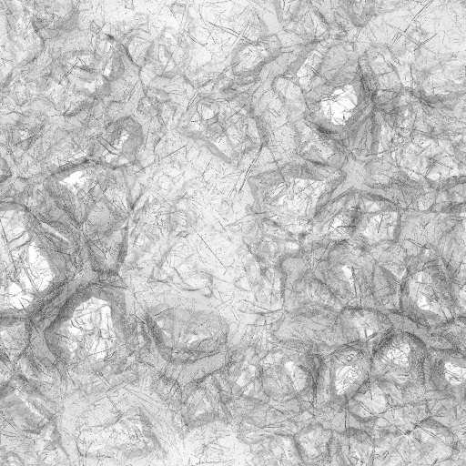 Ambient Occlusion Map