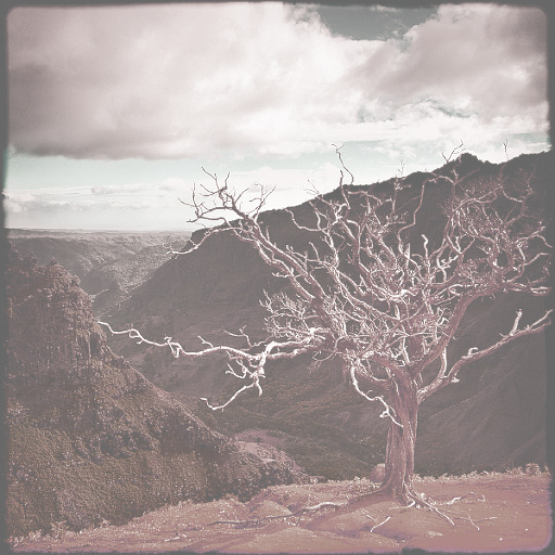 Variation 7