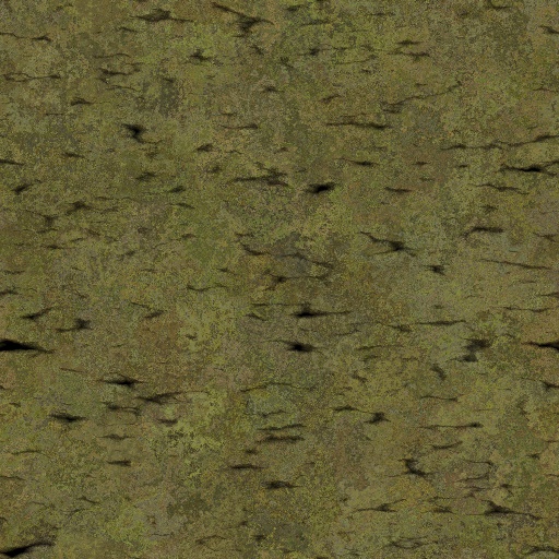 Variation 4
