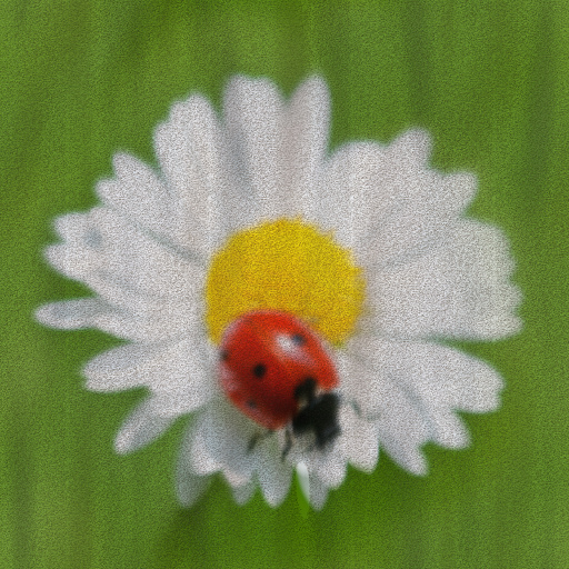 Variation 1