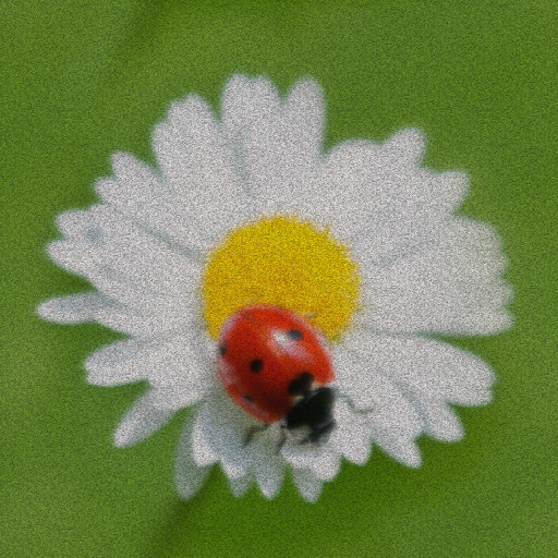 Variation 6