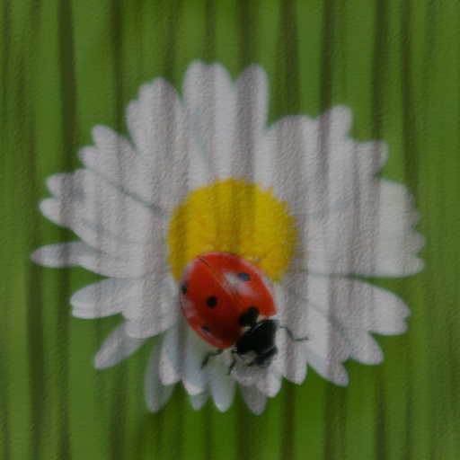Variation 7