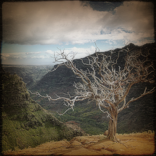 Variation 5