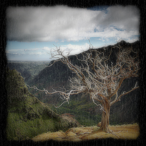 Variation 6