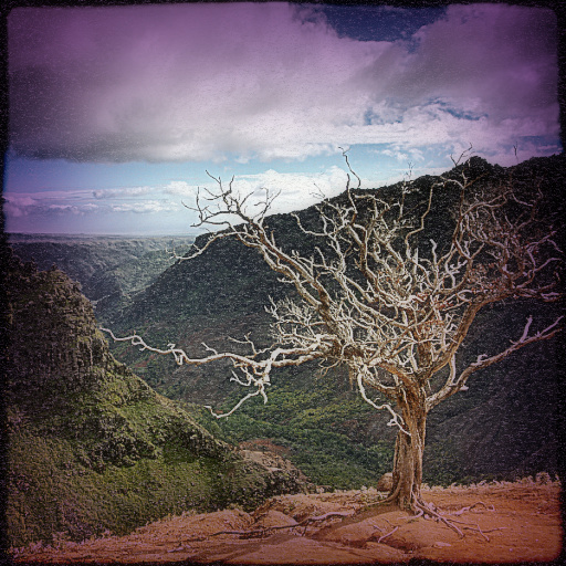 Variation 7