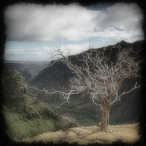 Variation 8