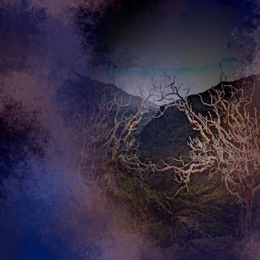 Variation 1